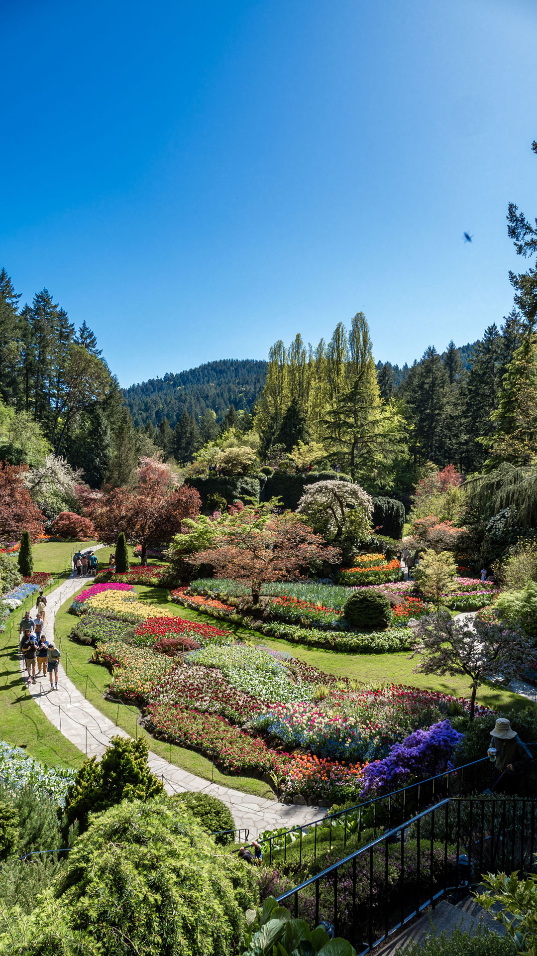 The Butchart Gardens - Sunken Garden