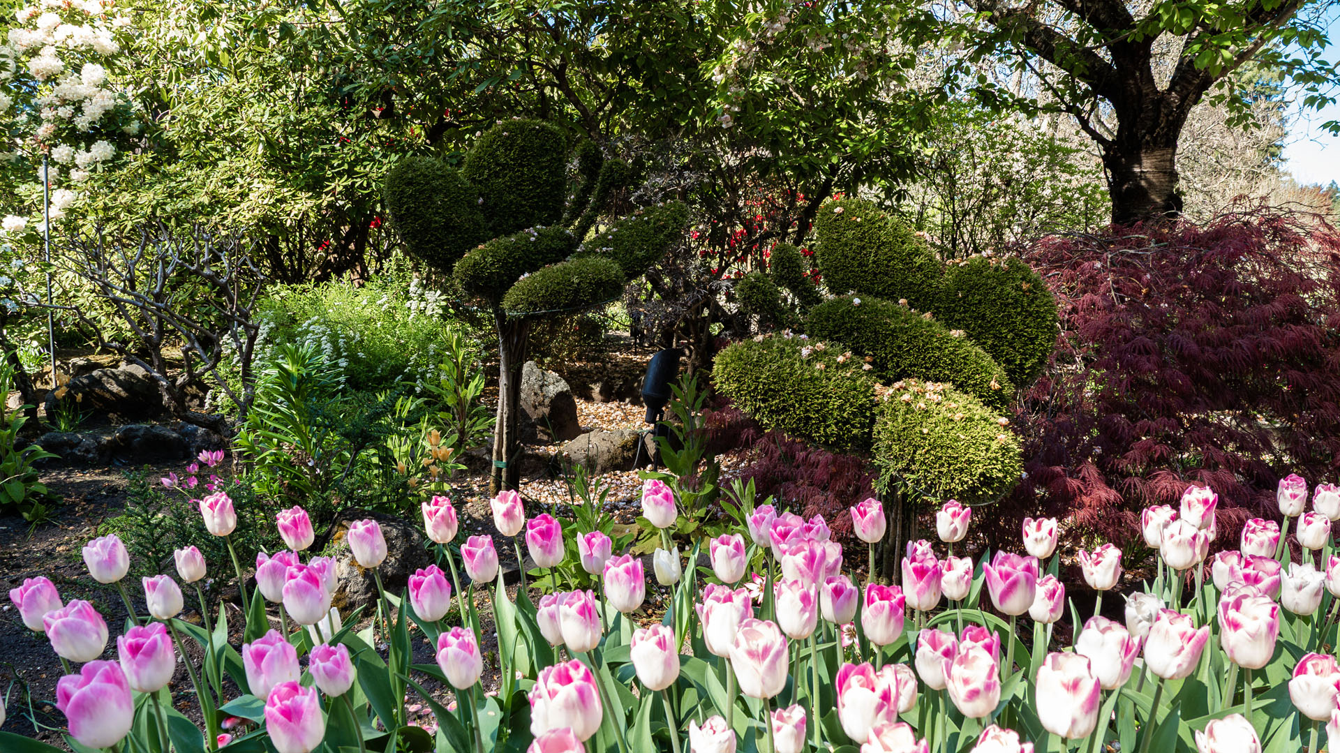 The Butchart Gardens