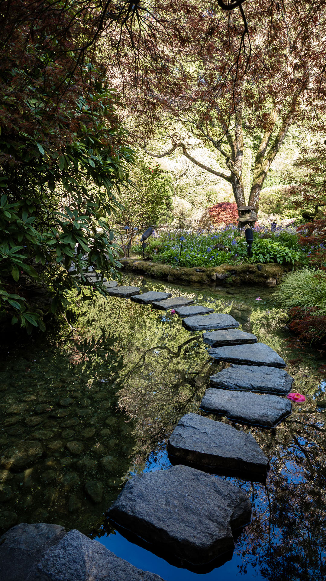 The Butchart Gardens - Japanese Garden