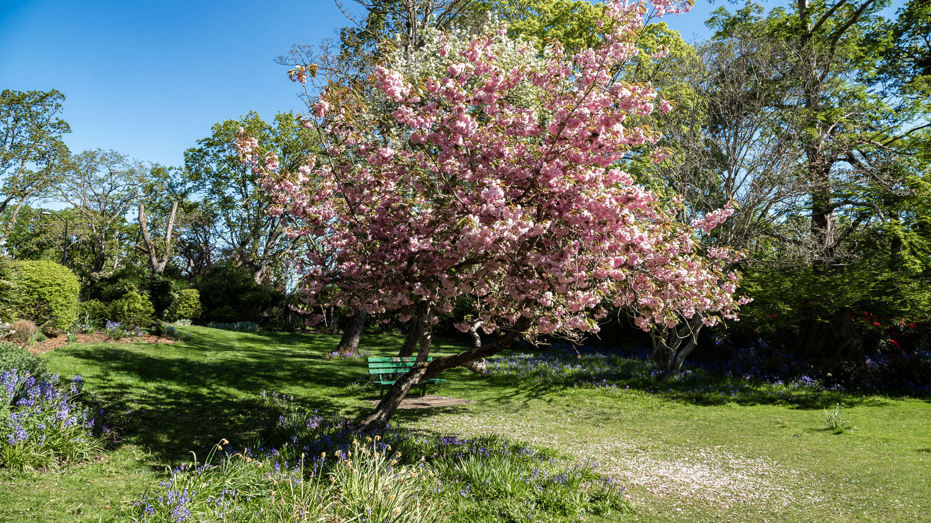 Beacon Hill Park