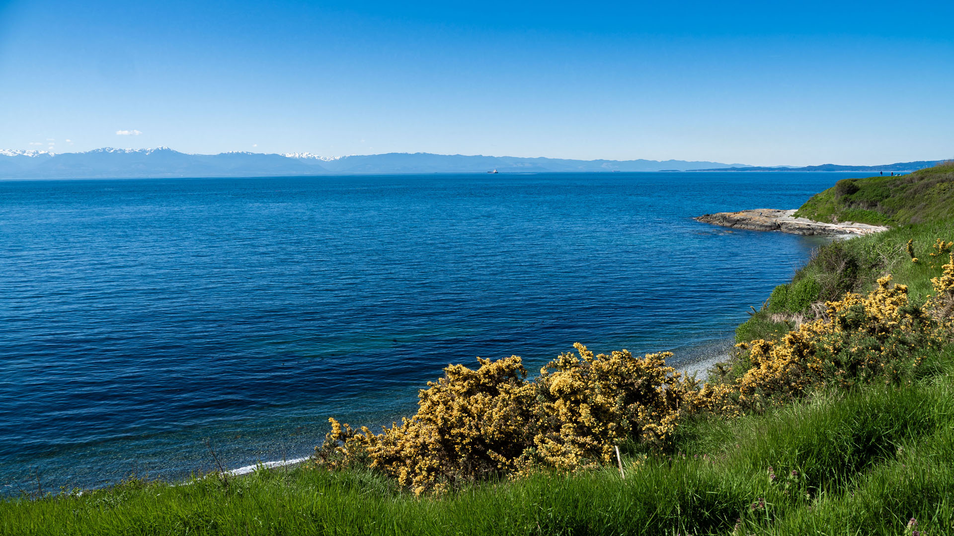 Salish Sea