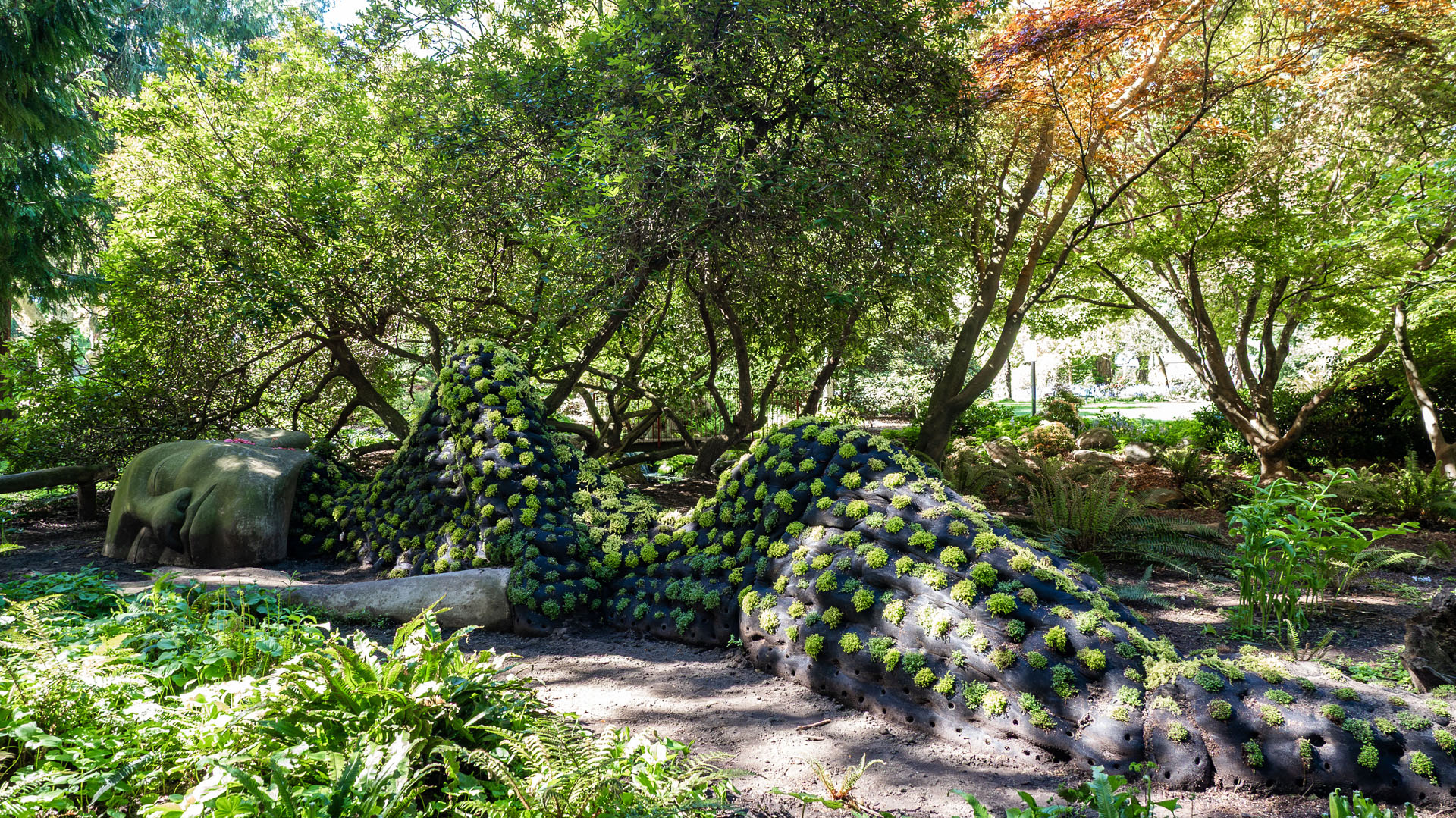 Beacon Hill Park