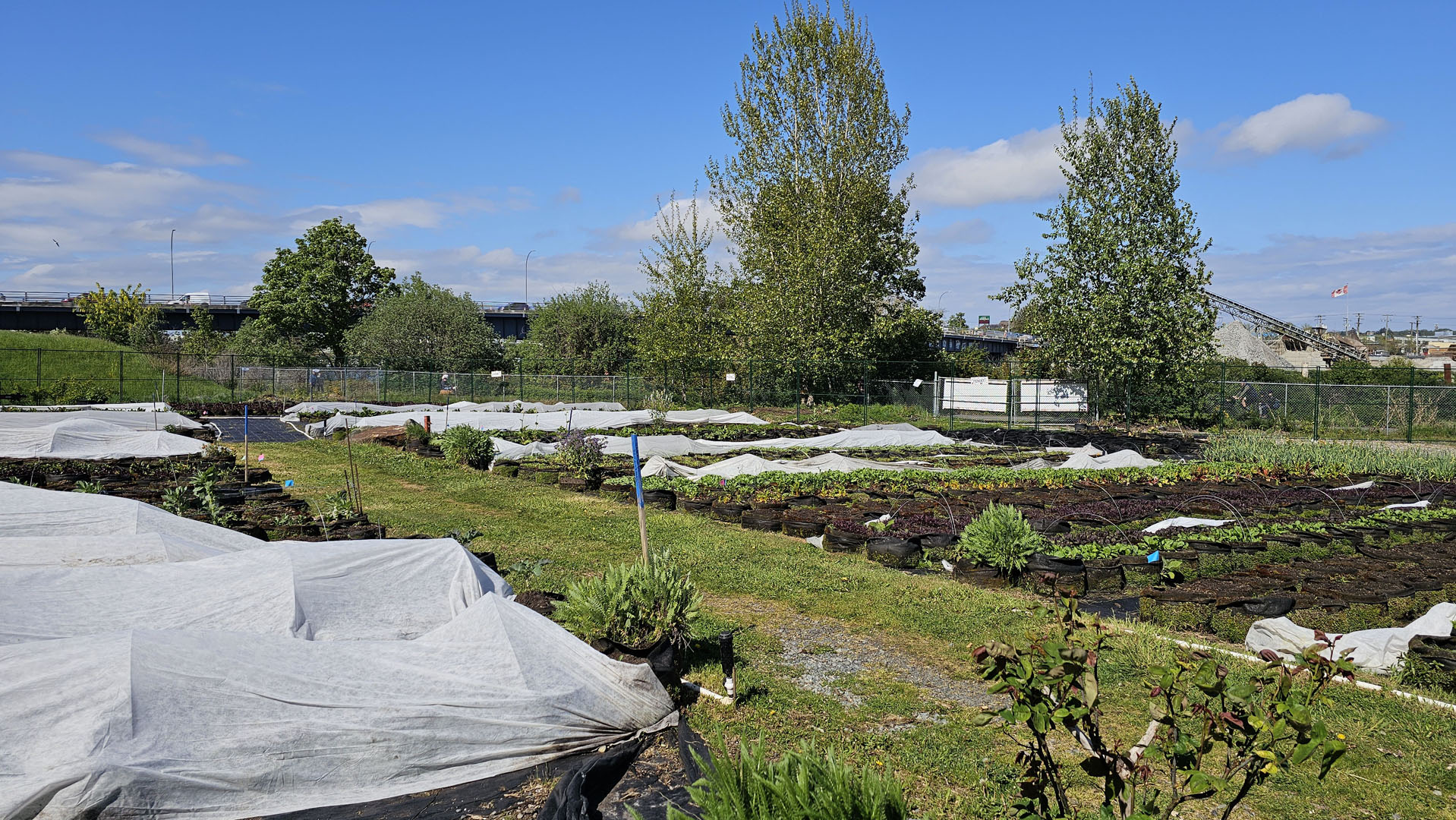 FED Urban Farm