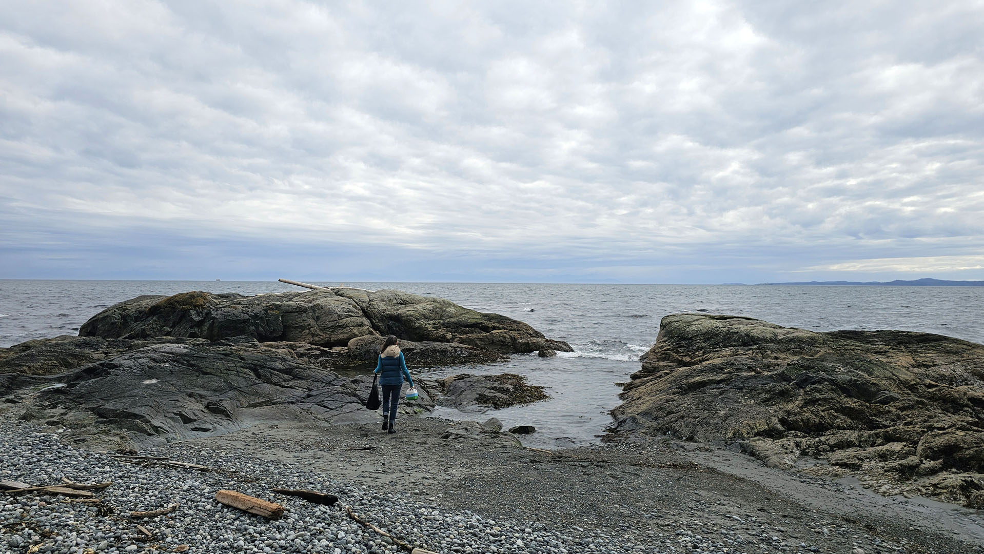 Dakini Tidal Wilds - Seaweed tour in Victoria