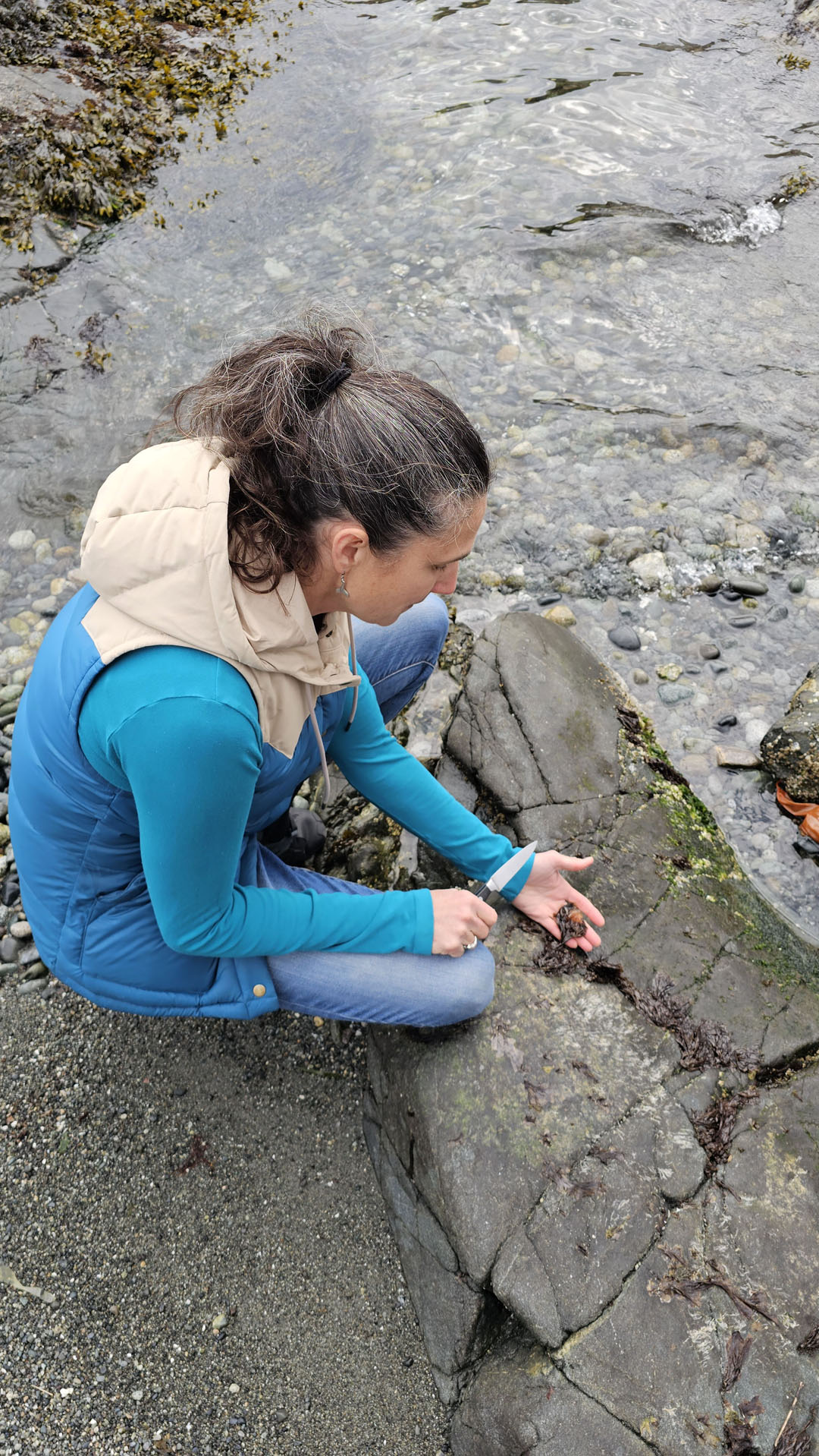 Dakini Tidal Wilds - Seaweed tour in Victoria