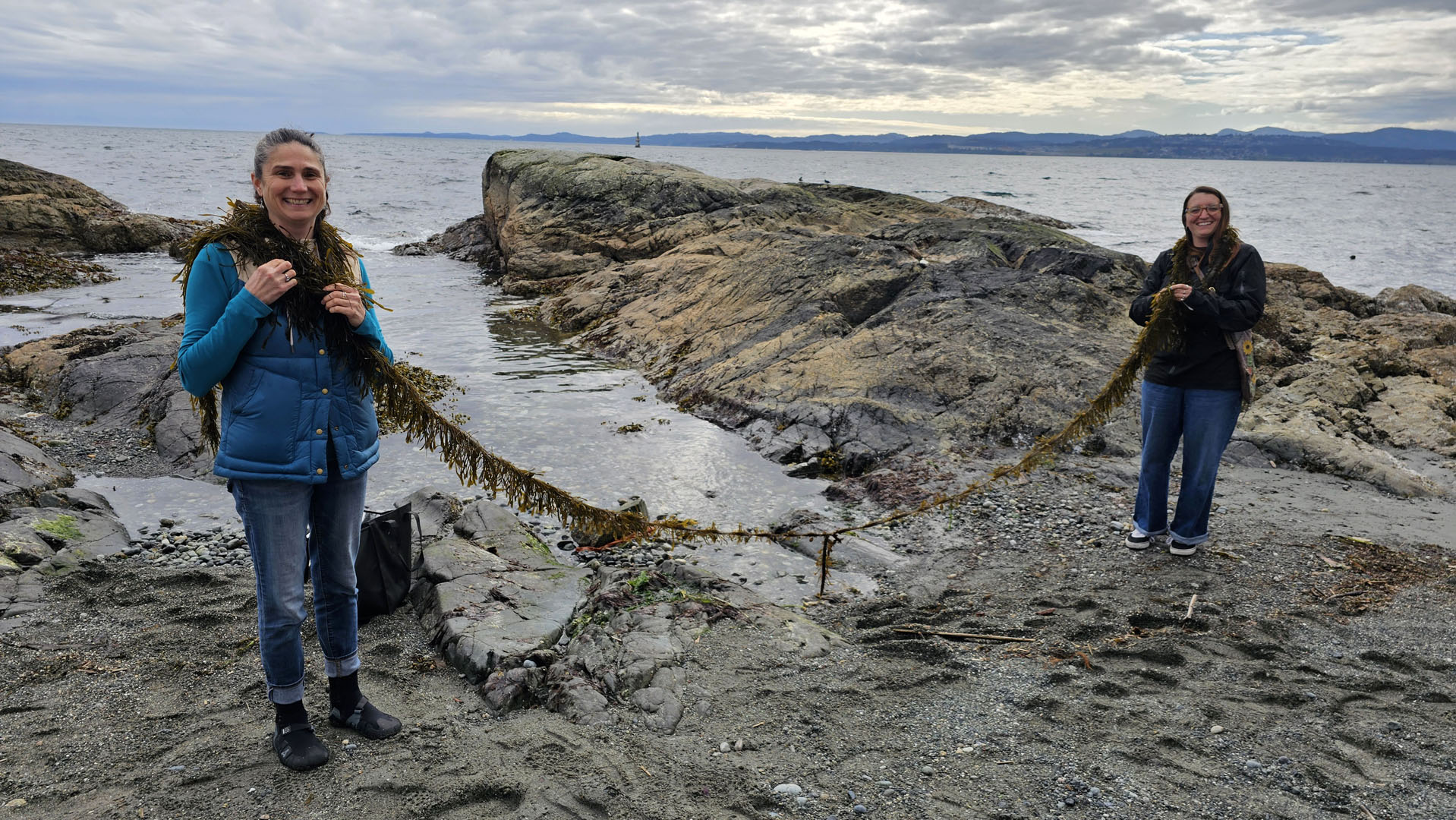 Dakini Tidal Wilds - Seaweed tour in Victoria