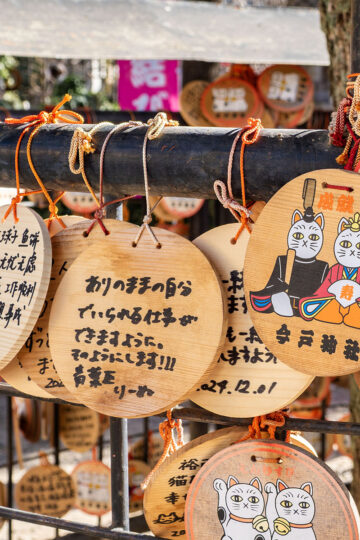 Japanese language lessons online Preply