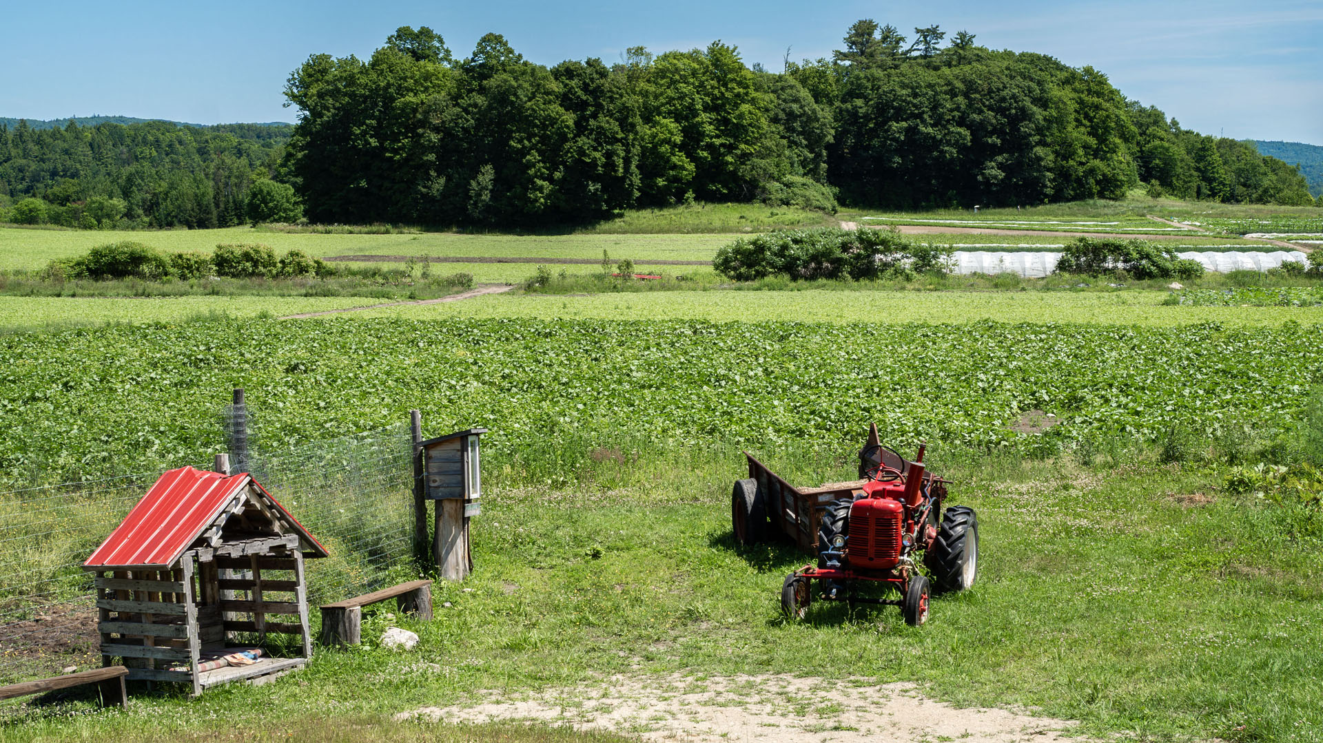 Juniper Farm