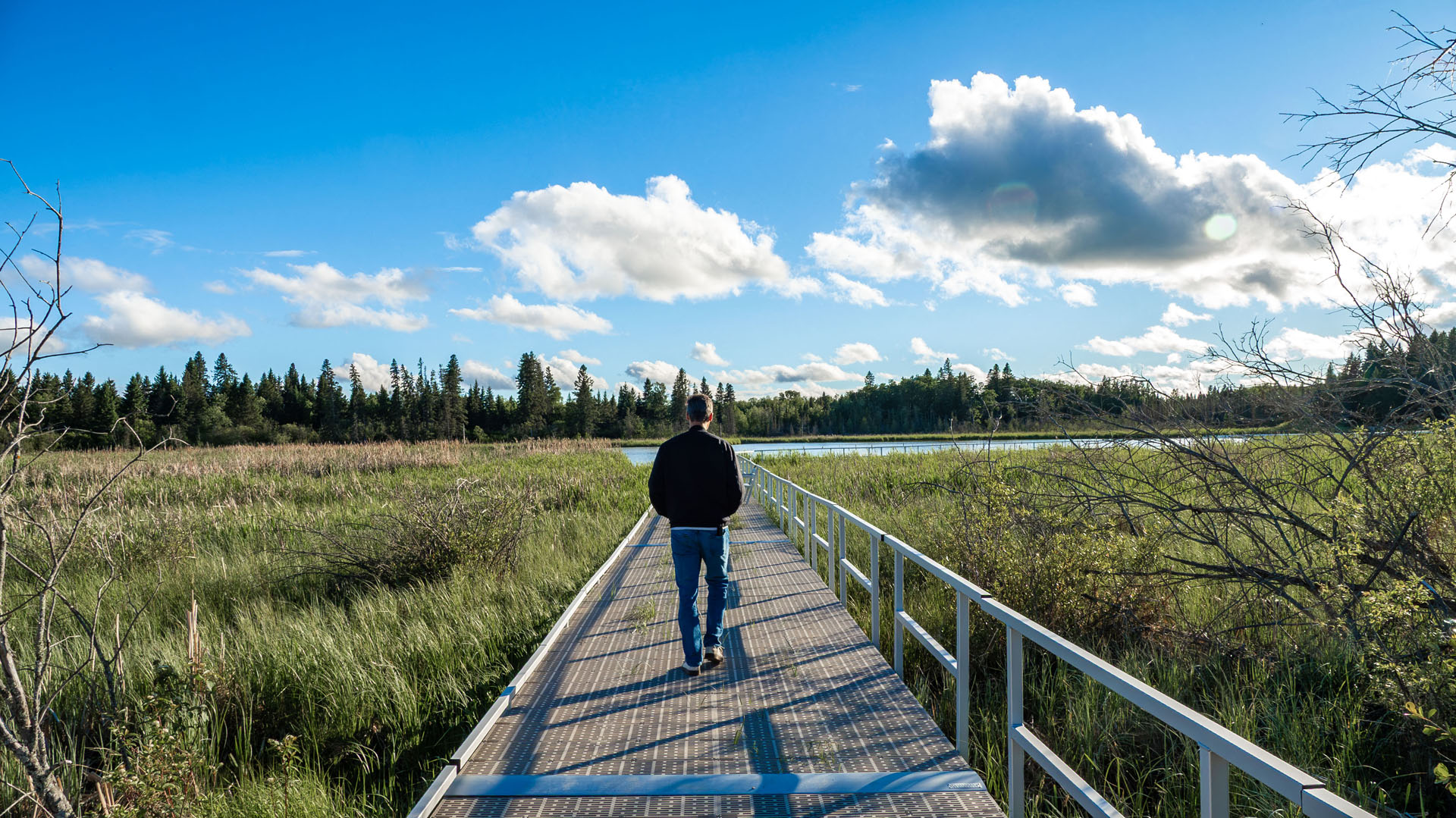 Ominik Marsh Trail