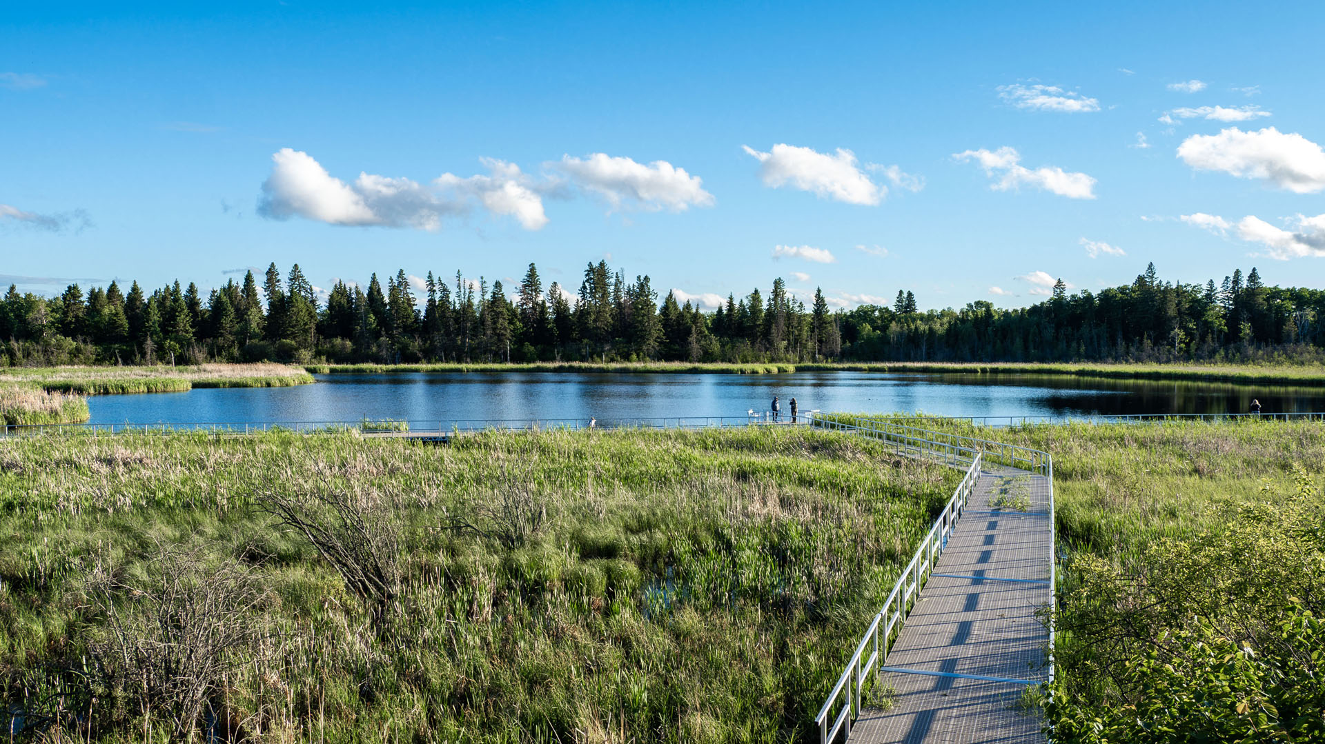Ominik Marsh Trail - Things to do in Riding Mountain National Park
