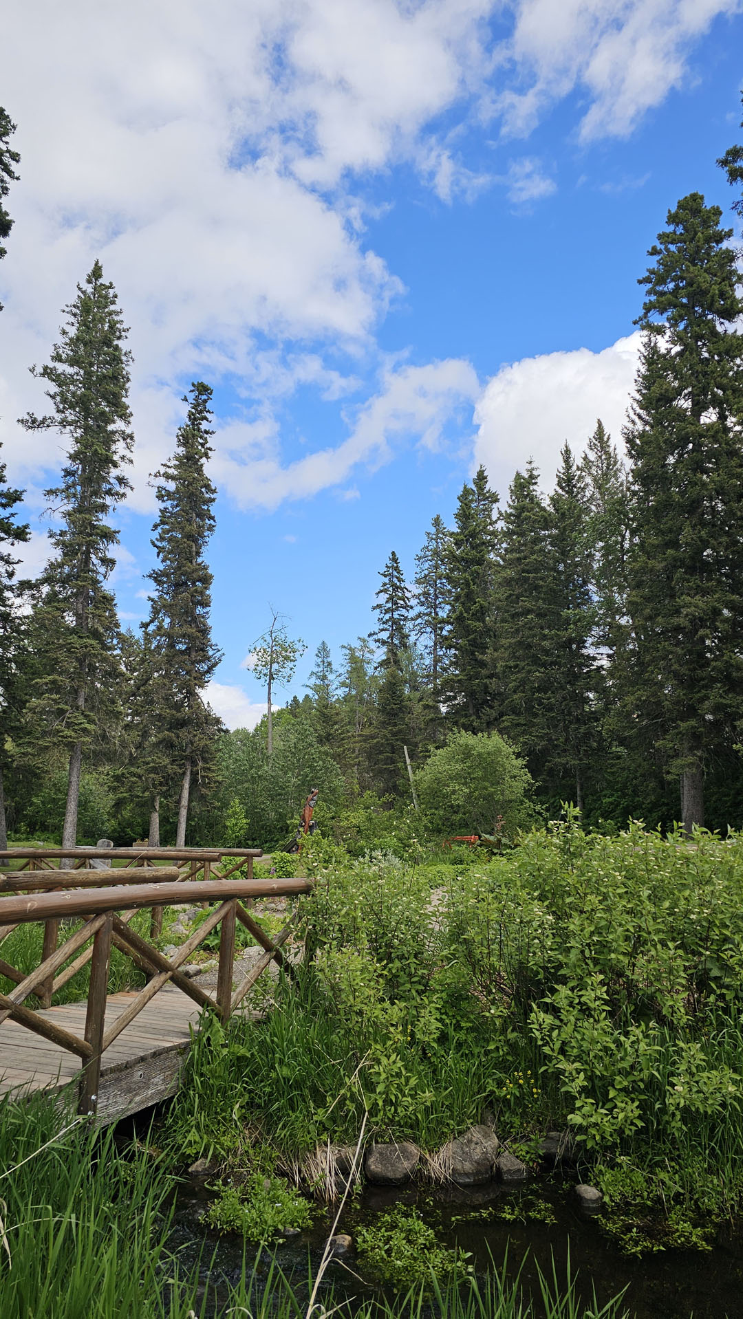 The Wishing Well, Clear Lake, Riding Mountain National Park