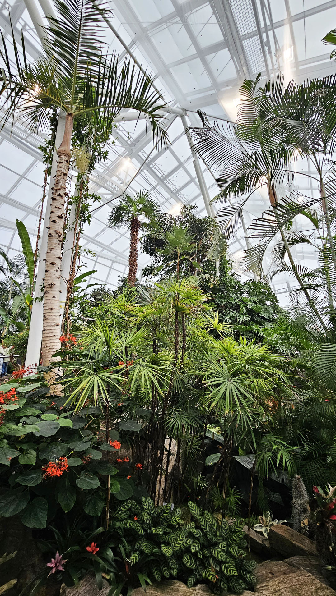 Niagara Parks Butterfly Conservatory