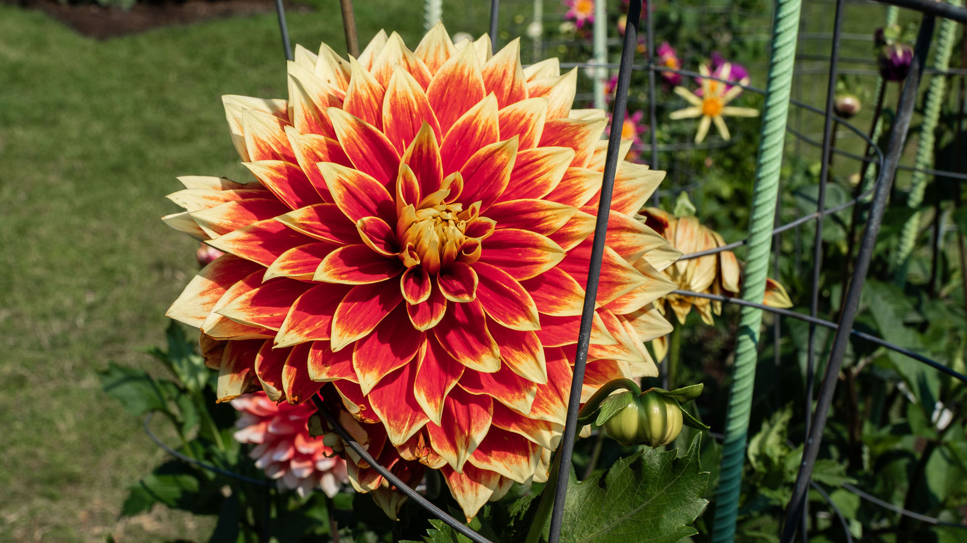 Halifax Public Gardens