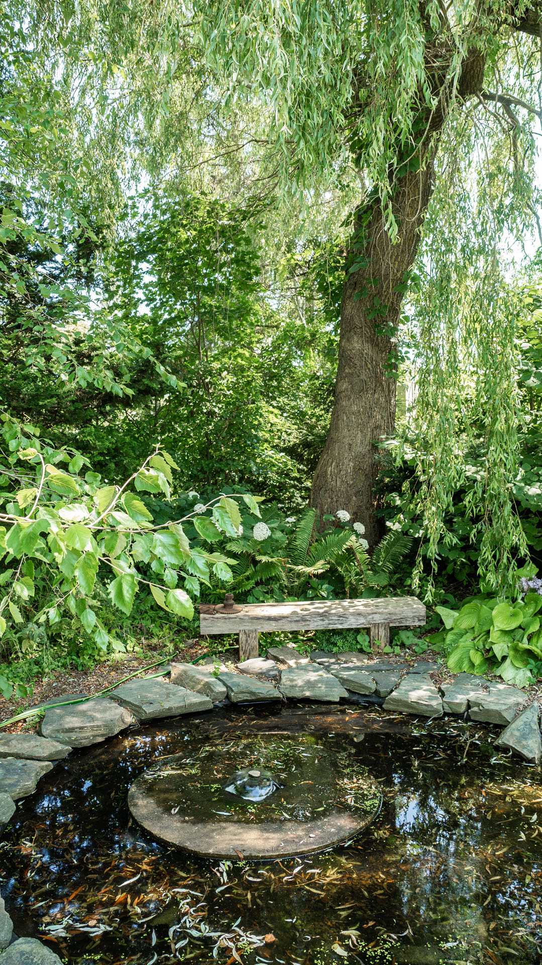 Tangled Garden