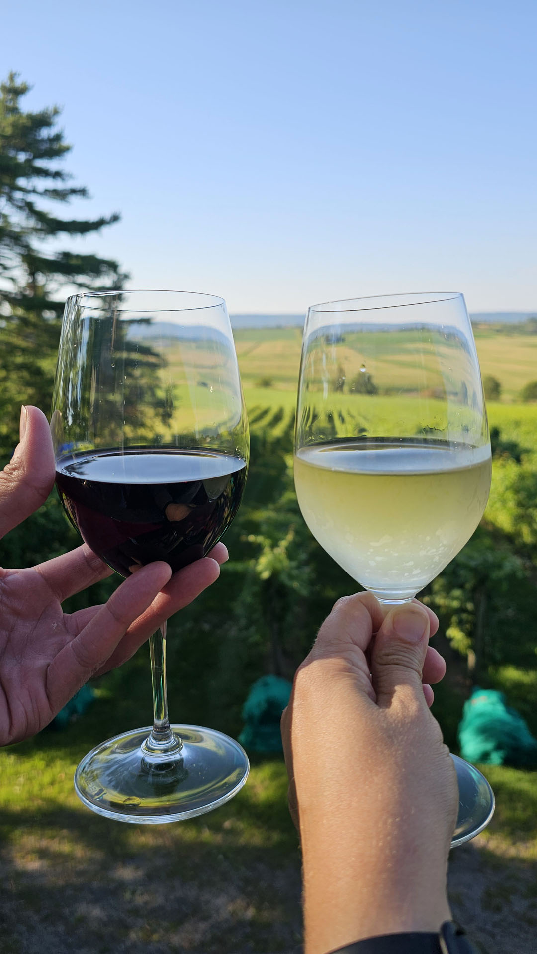 Planters Ridge Winery