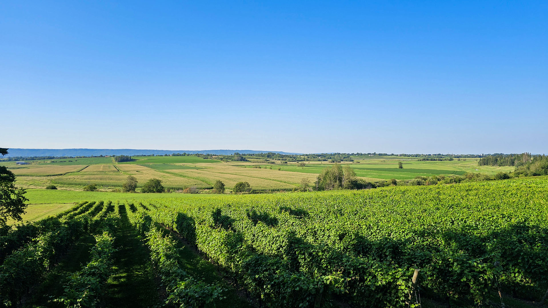 Planters Ridge Winery