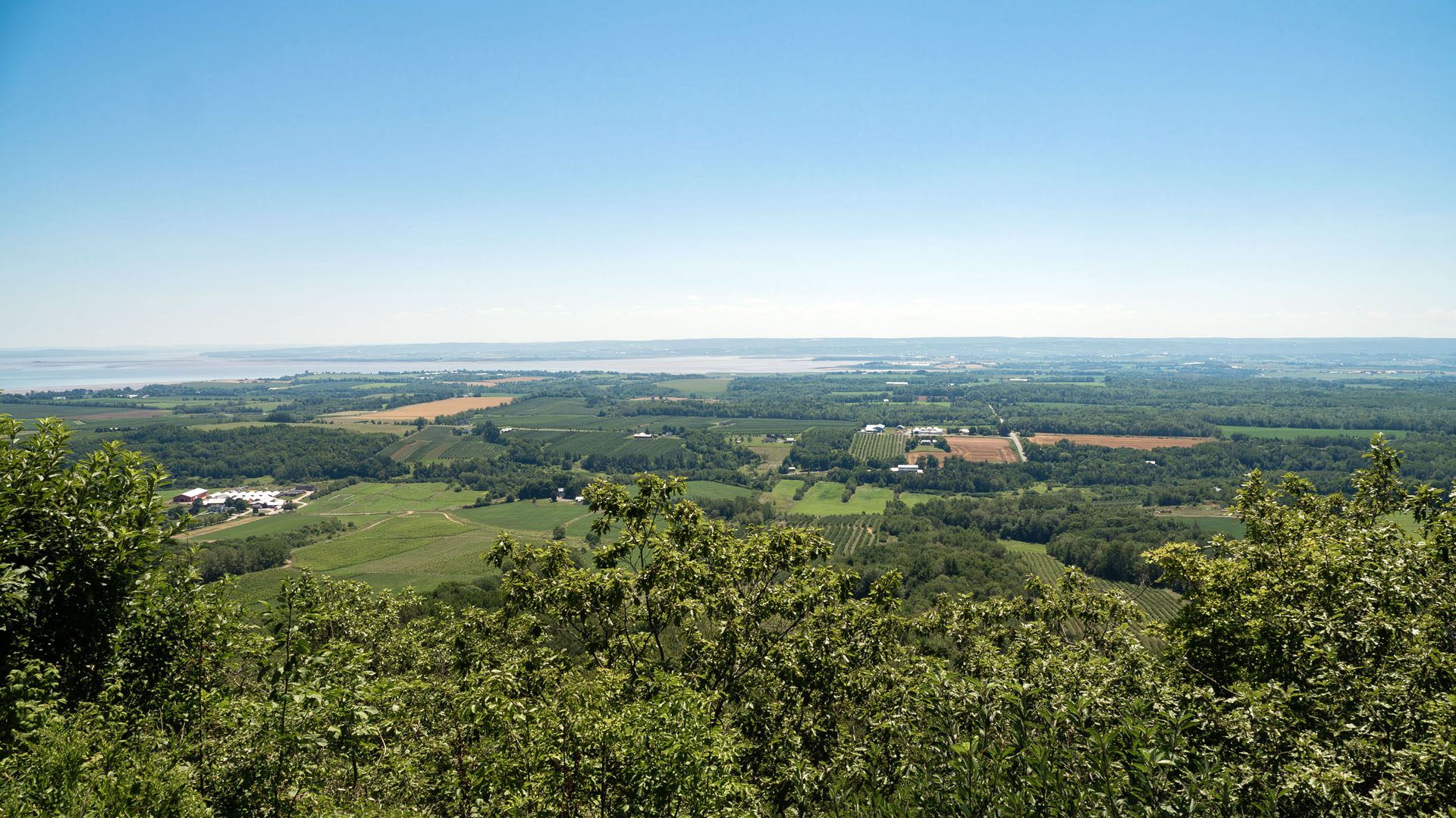 Blomidon Look Off