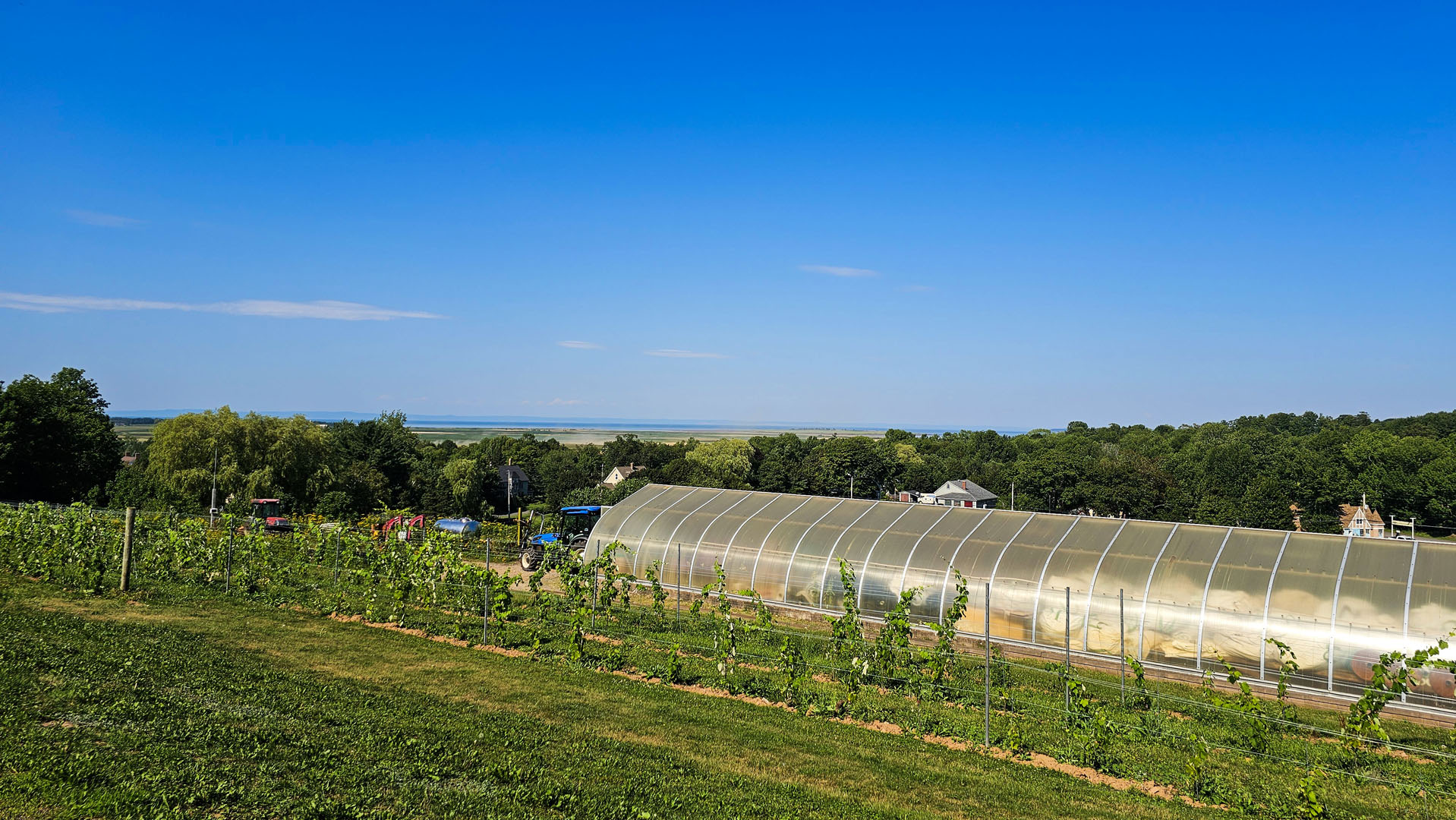 Domaine de Grand Pre Winery