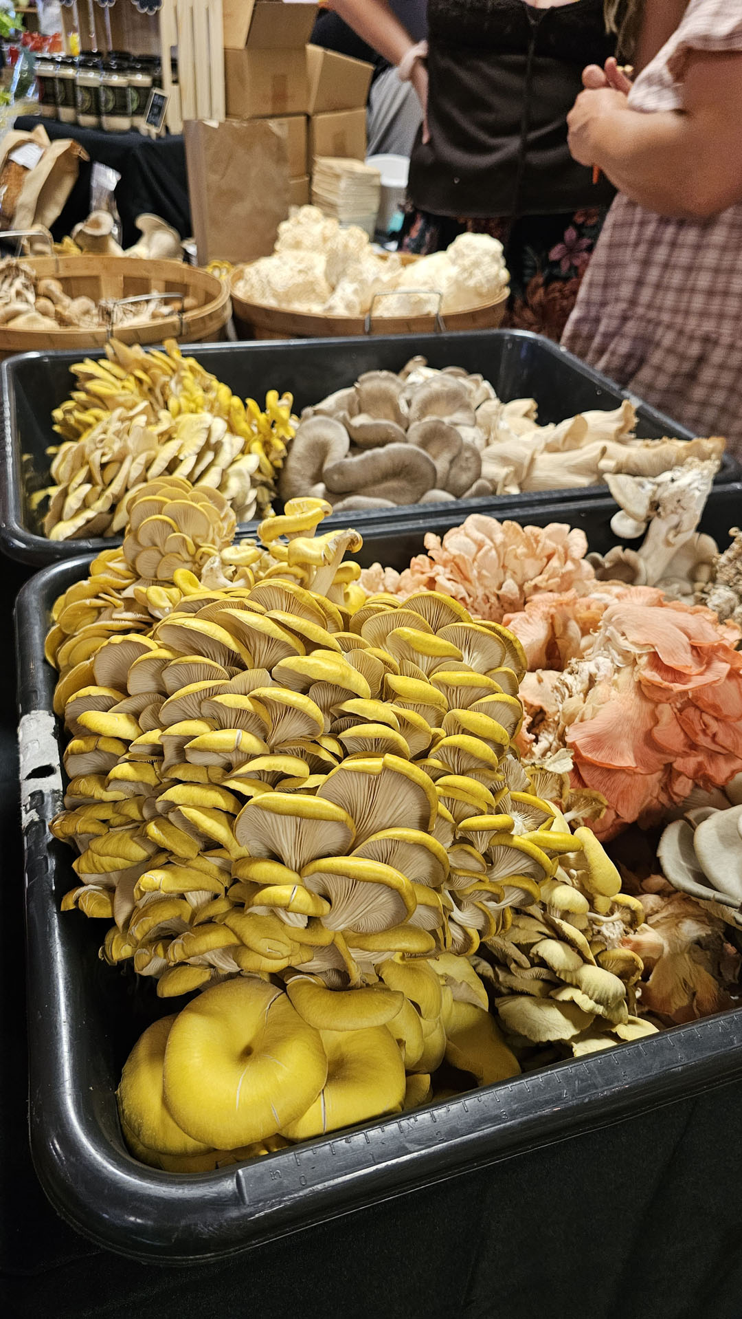 Wolfville Farmers Market