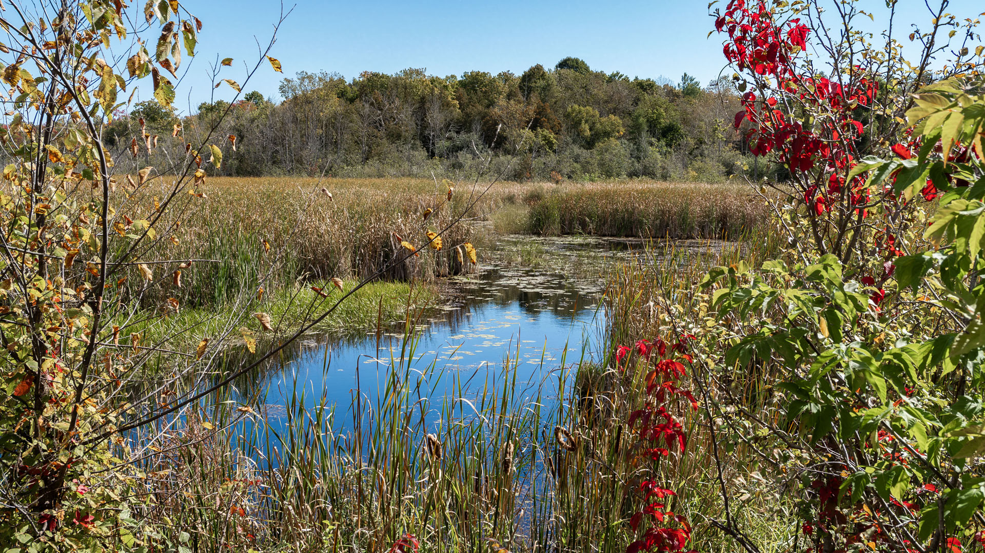 Beaver River Wetland Trail
