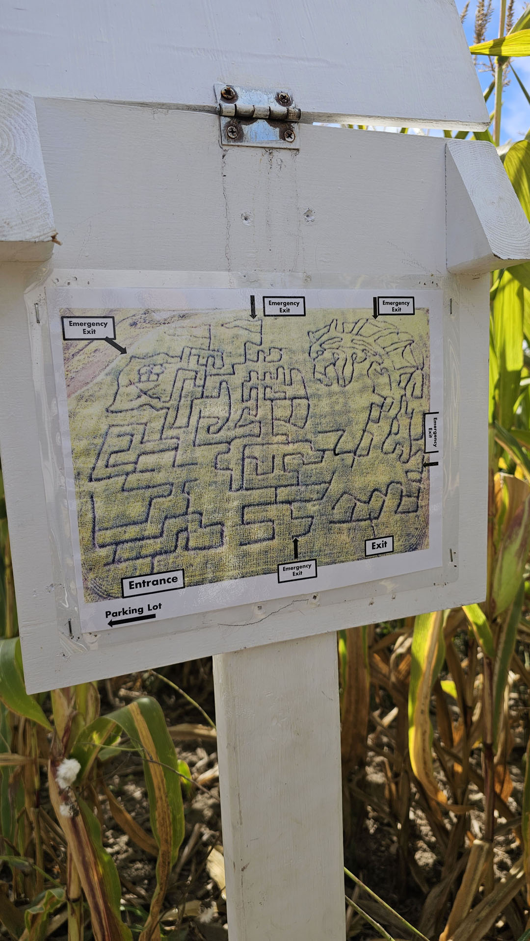 Buzzing Bees Adventure Farm - Corn Maze Escape Room
