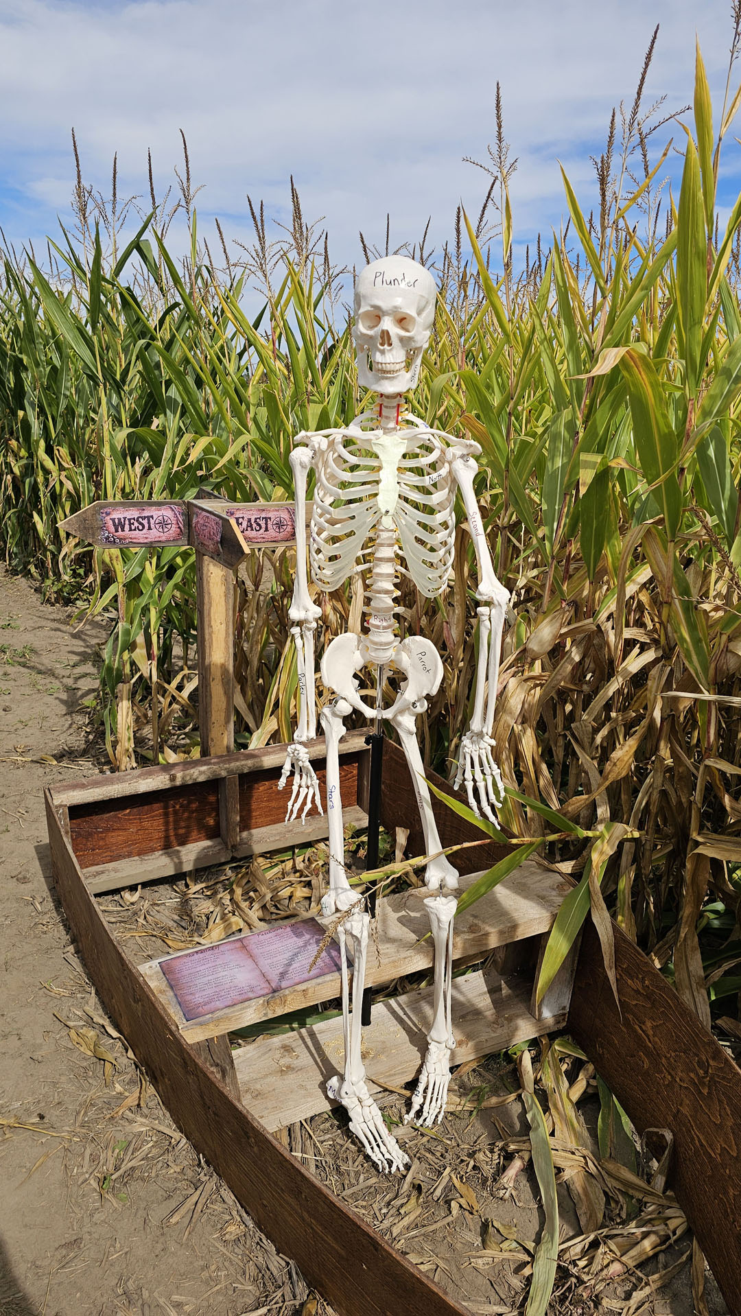 Buzzing Bees Adventure Farm - Corn Maze Escape Room