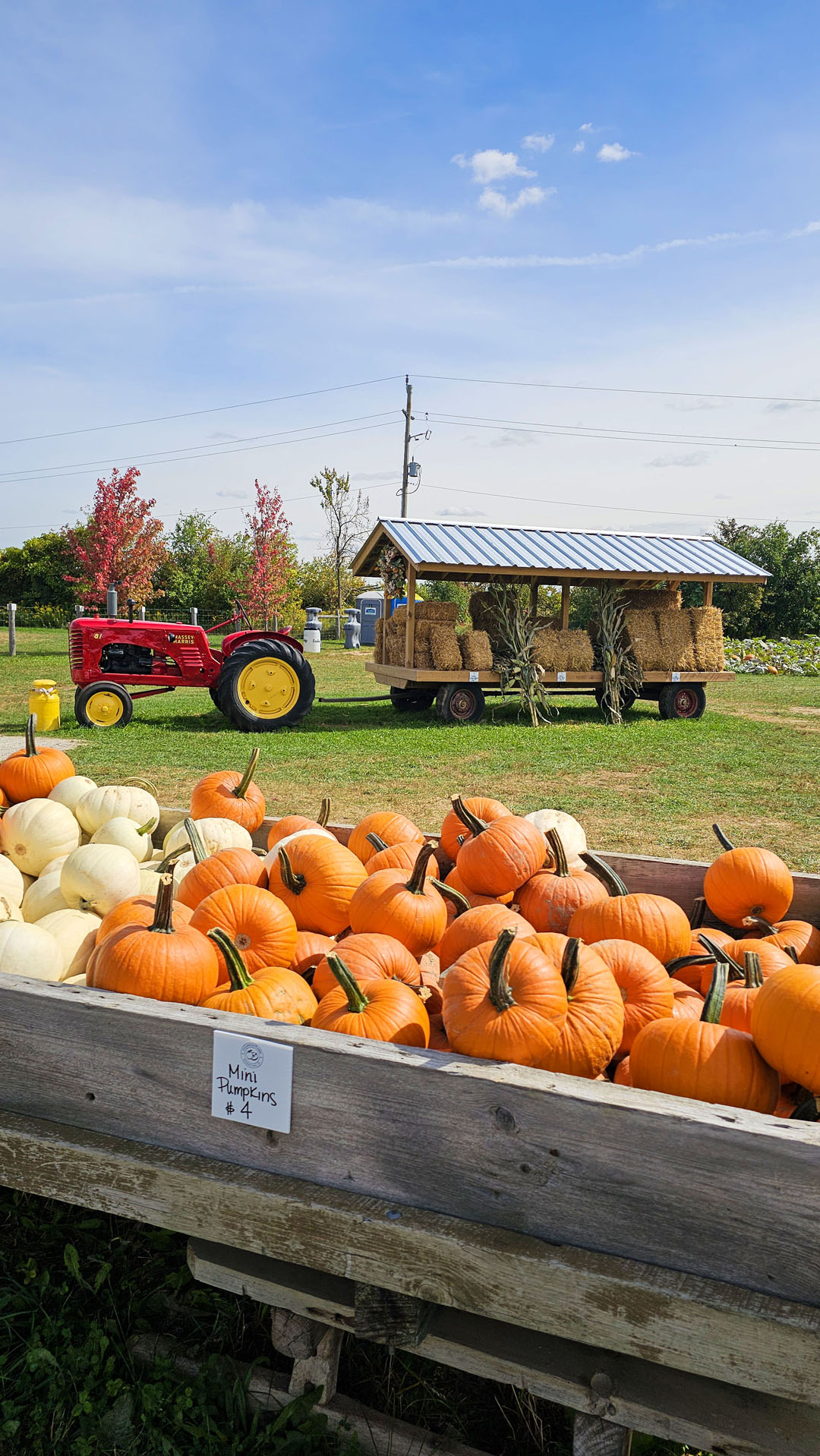 Fallbrook Farms Pumpkin Patch