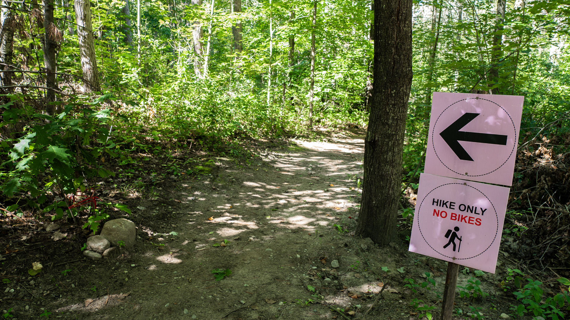 Hiking at Trail Hub in Uxbridge