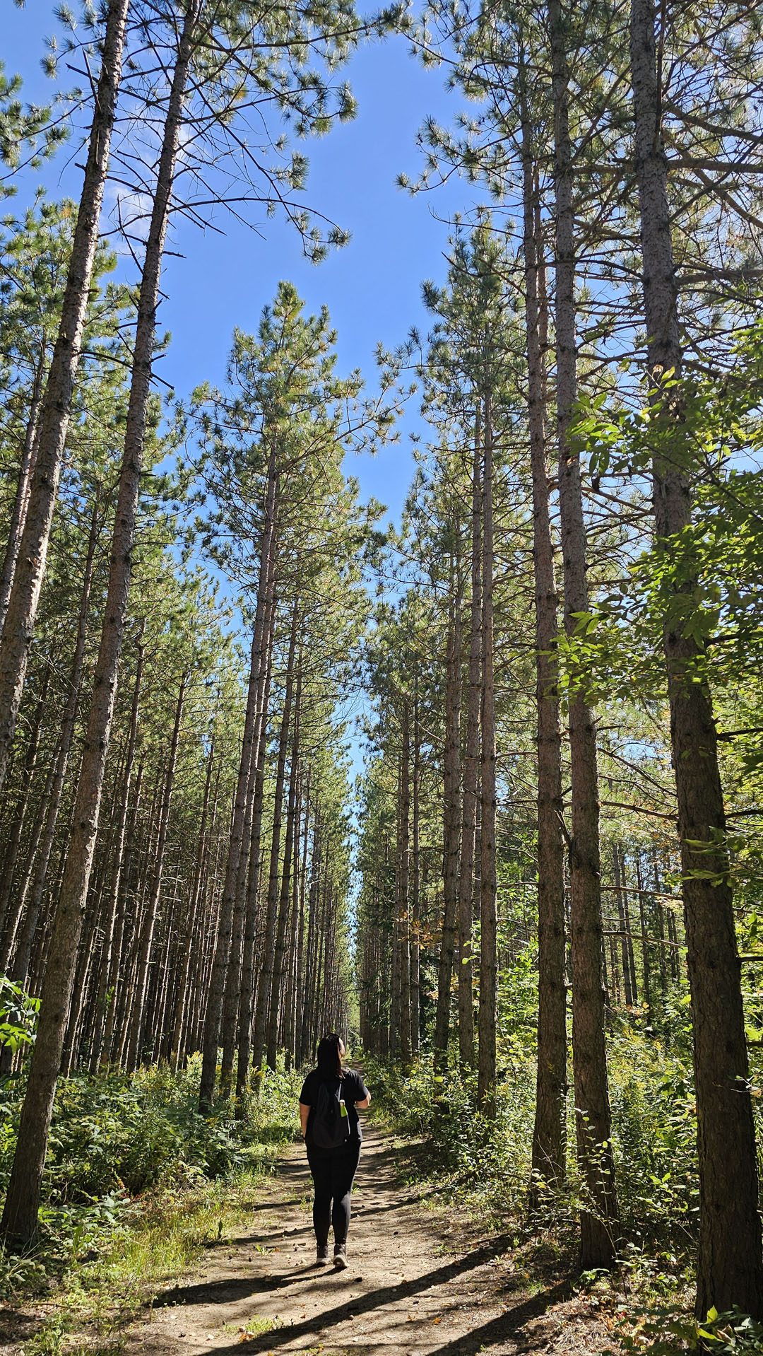 Hiking at Trail Hub in Uxbridge