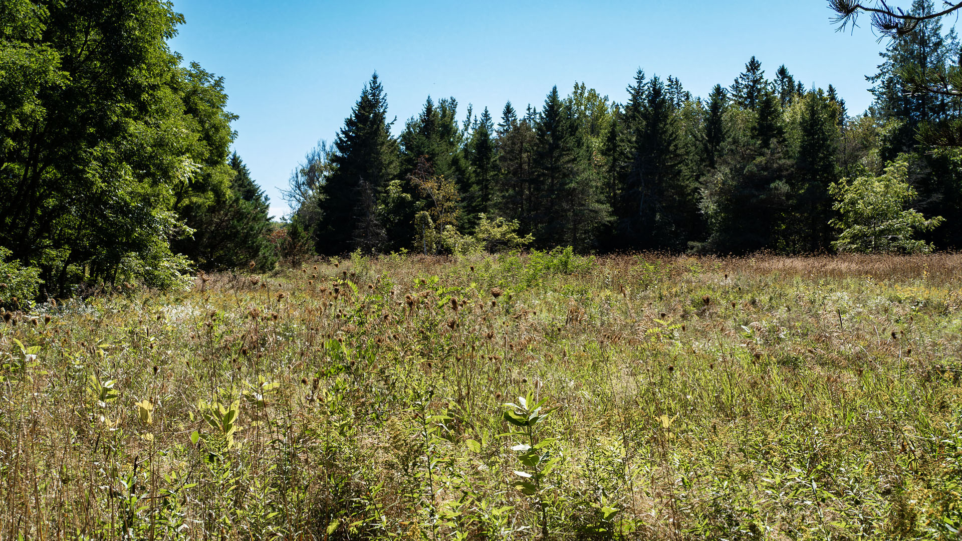 Hiking at Trail Hub in Uxbridge