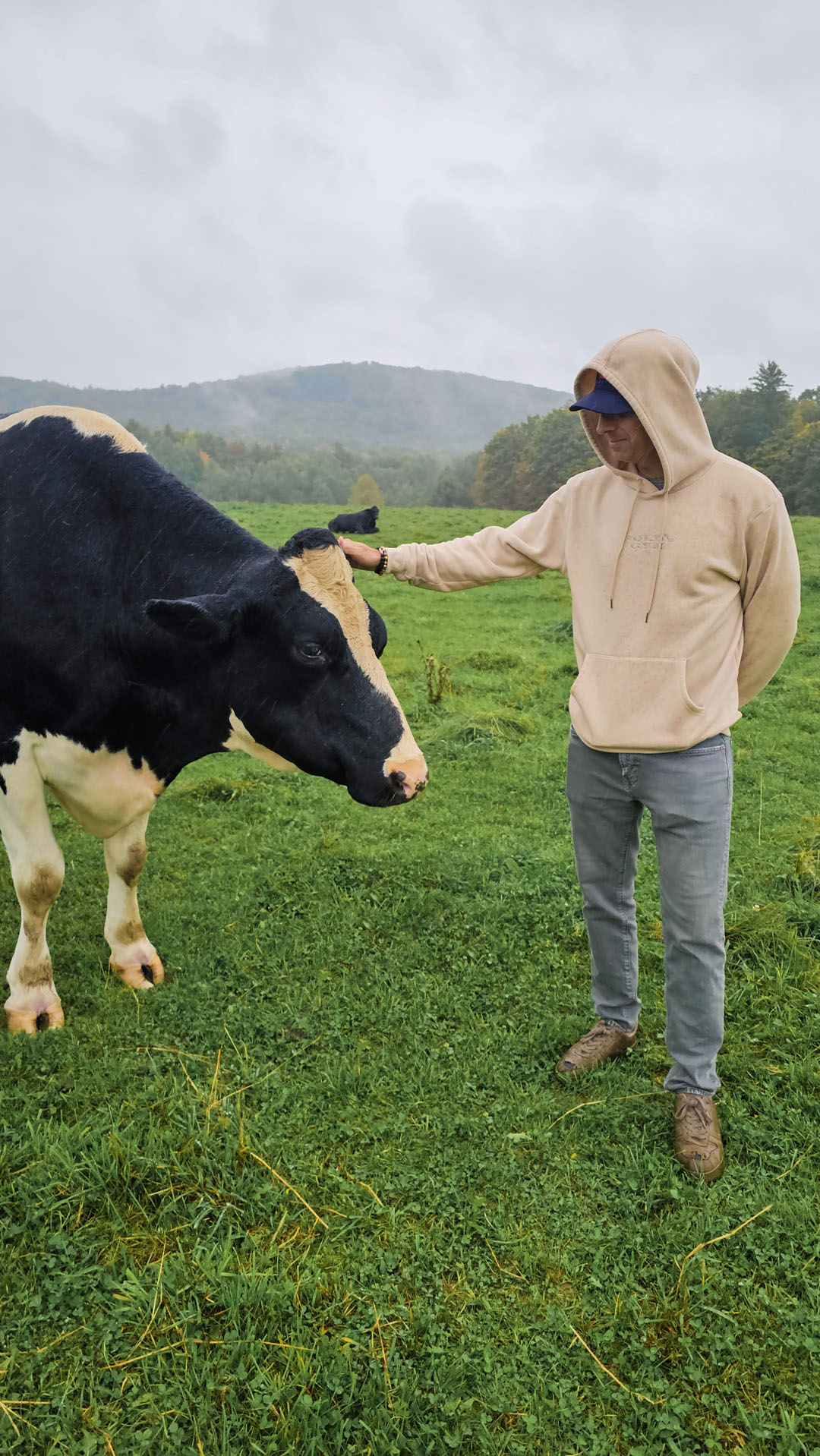 Justin with a cow at Farm Sanctuary