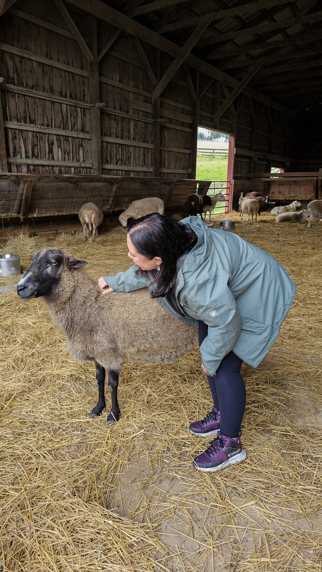 Lauren and a sheep at Farm Sanctuary