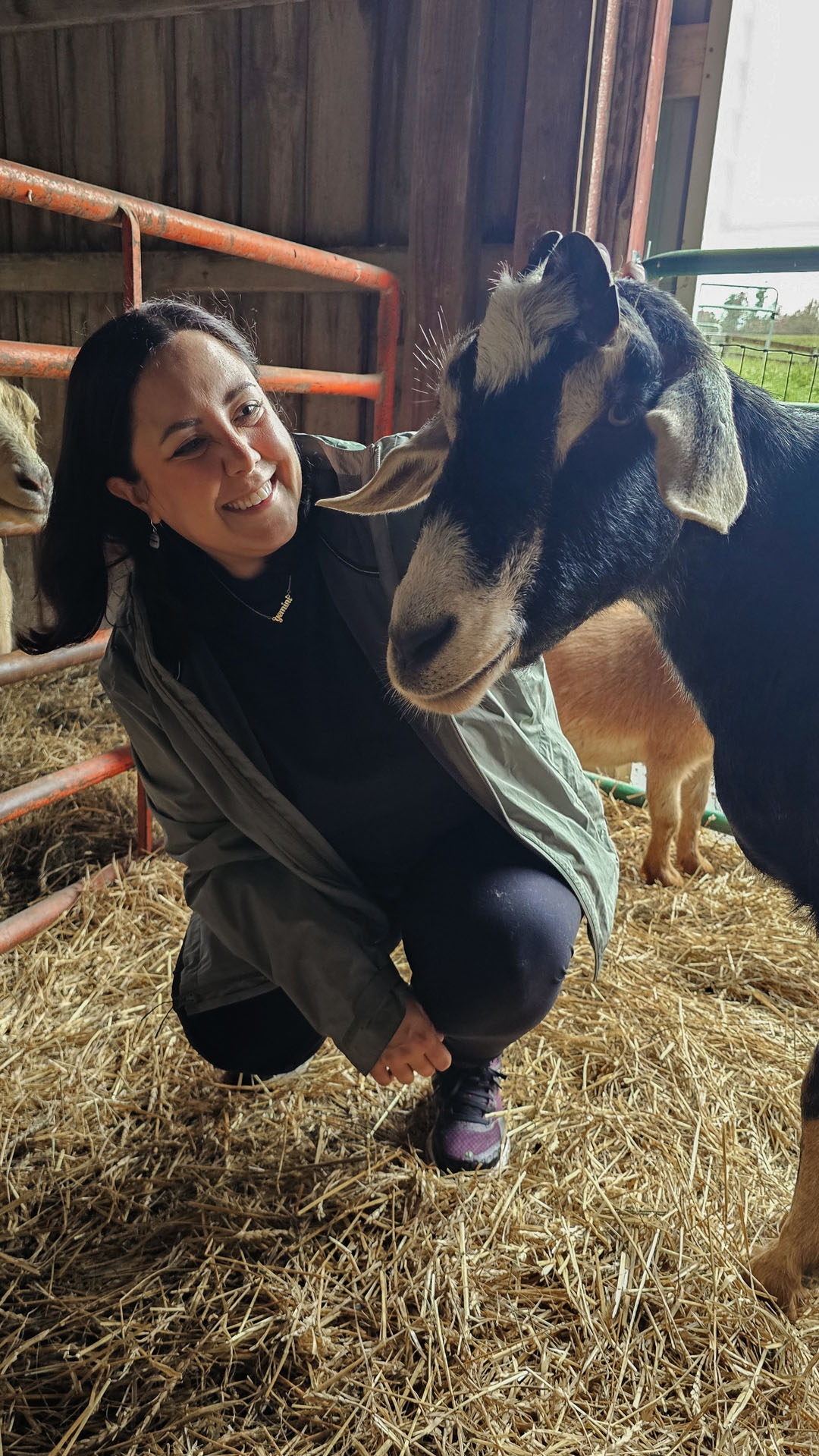 Lauren meeting a goat at Farm Sanctuary