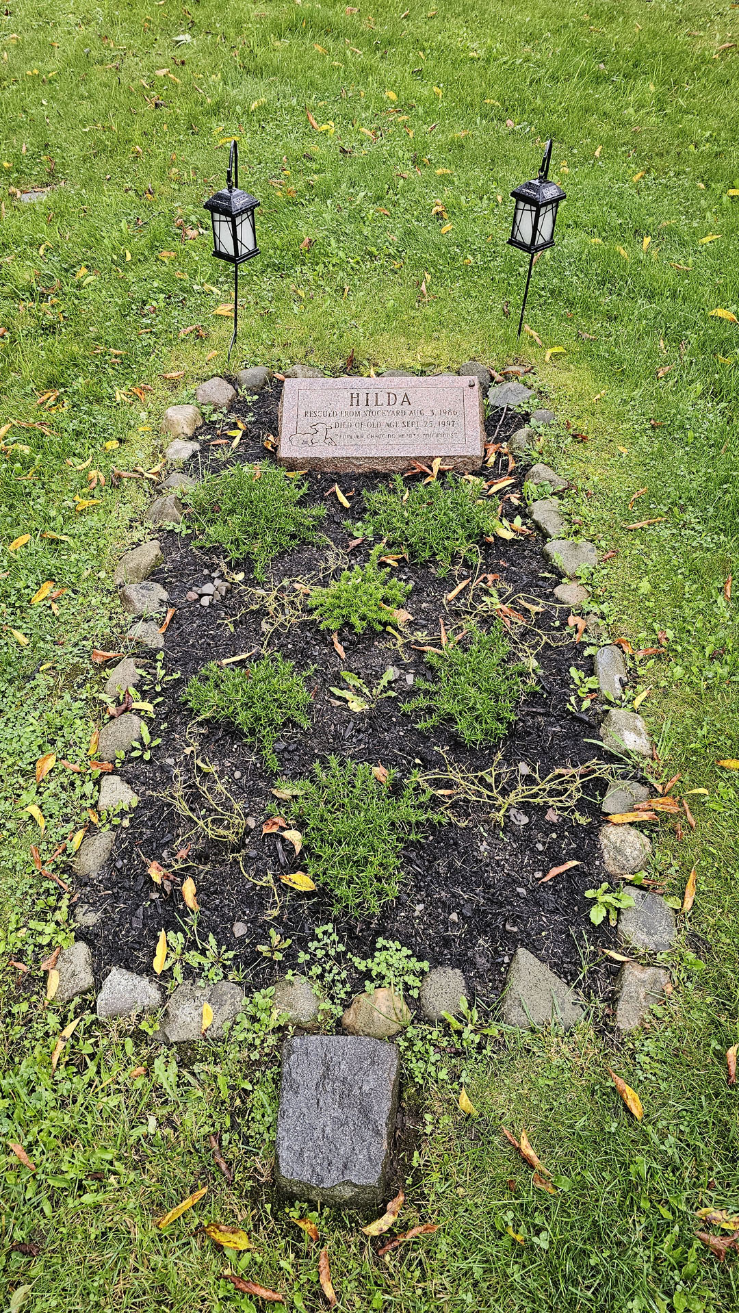 Hilda the Sheep Memorial