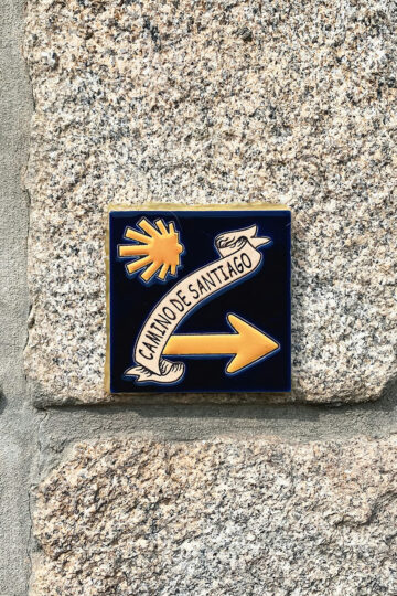 Walking with a dog on the Camino de Santiago