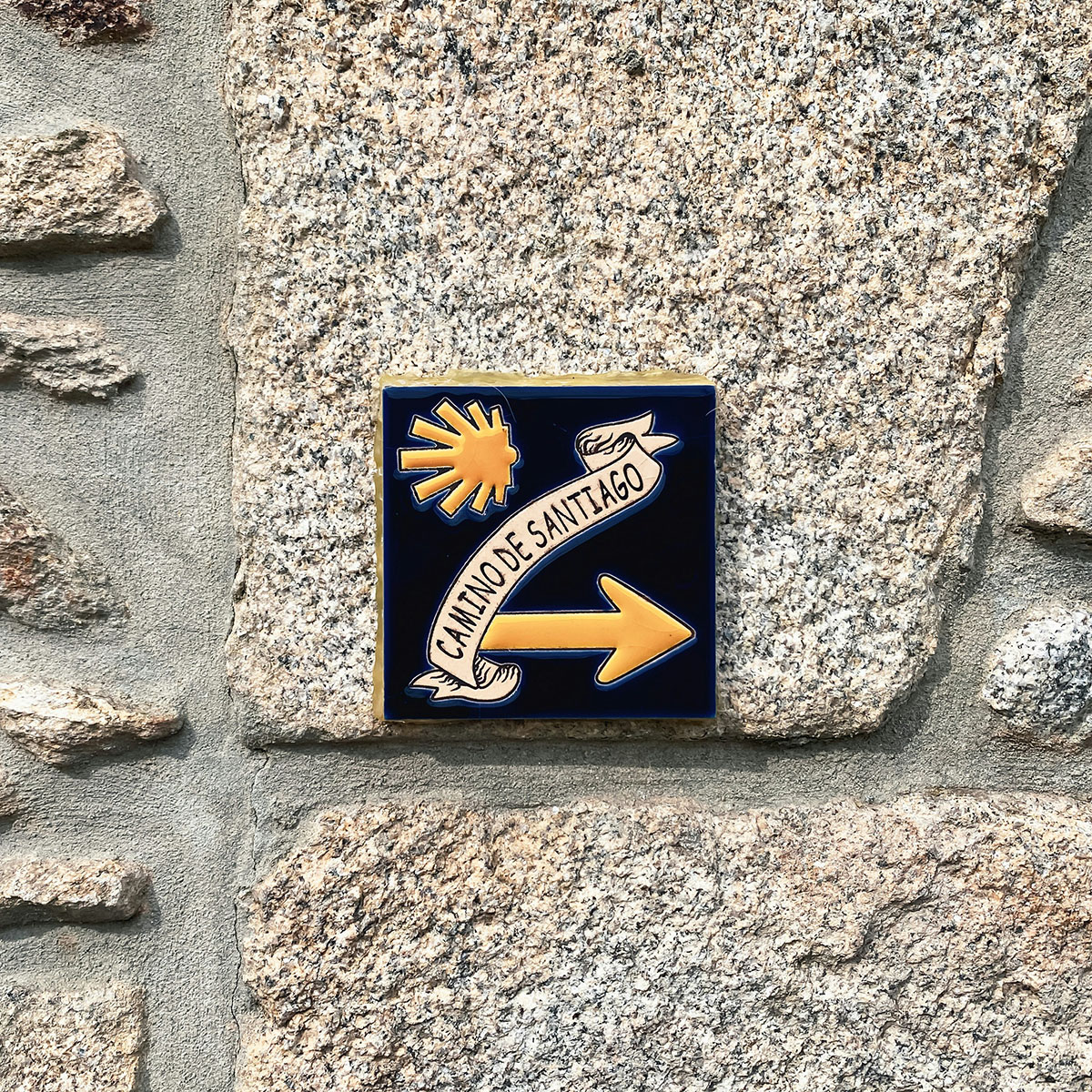 Walking with a dog on the Camino de Santiago